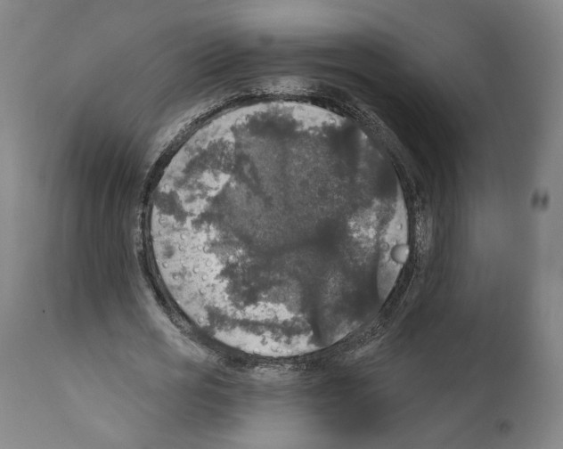 X0000111580725200908271035