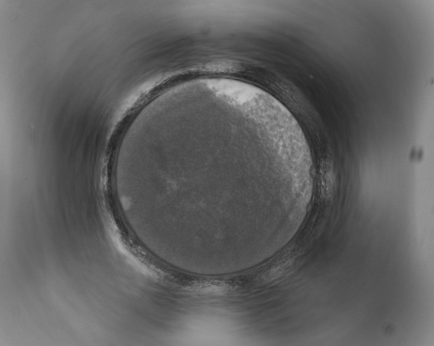 X0000111580726200908271035