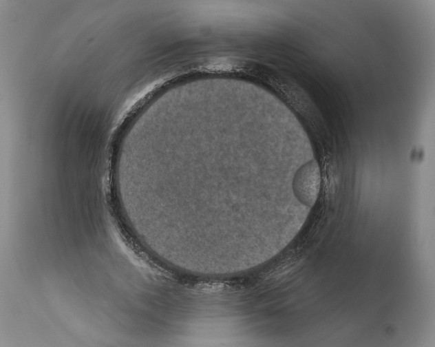 X0000111580728200908271035