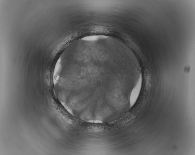 X0000111580729200908271035