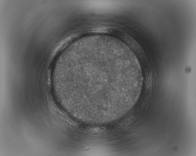 X0000111580731200908271035