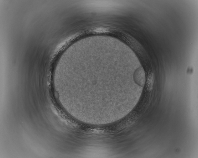 X0000111580732200908271035