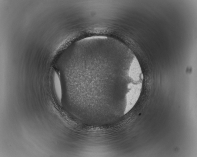 X0000111580735200908271035