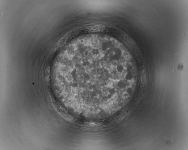 X0000111580737200908271035