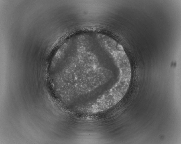 X0000111580739200908271035