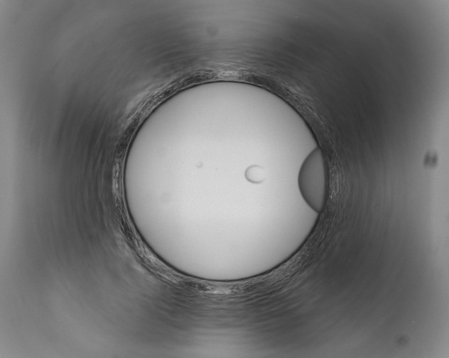 X0000111580740200908271035