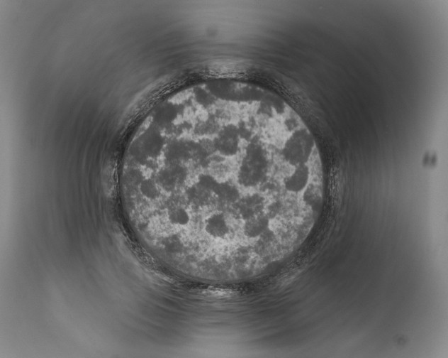 X0000111580741200908271035