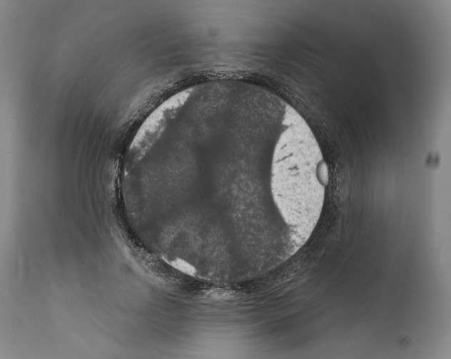 X0000111580742200908271035