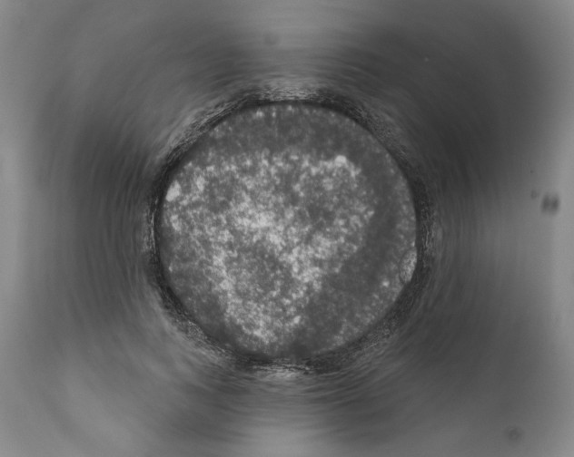 X0000111580743200908271035