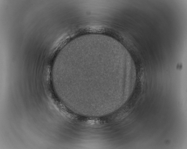 X0000111580744200908271035