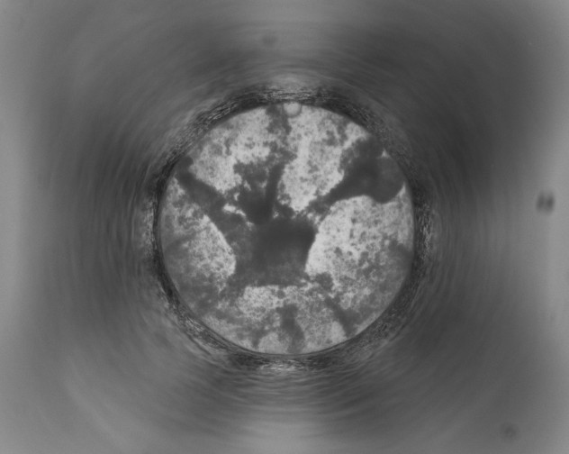 X0000111580745200908271035