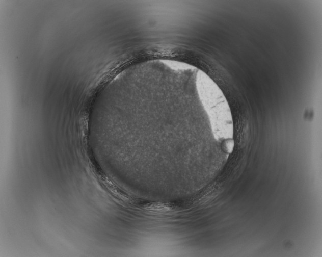 X0000111580747200908271035