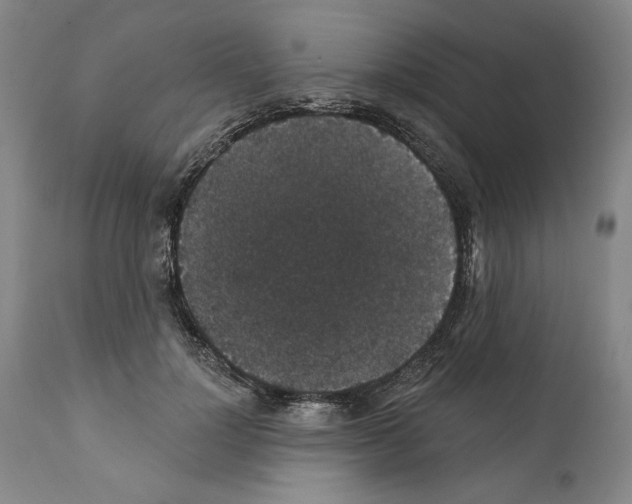 X0000111580748200908271035