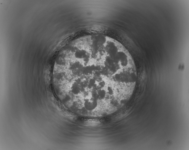 X0000111580749200908271035