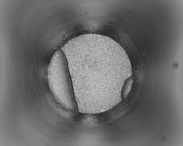 X0000111580750200908271035