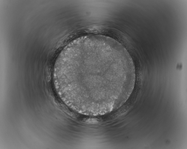 X0000111580751200908271035