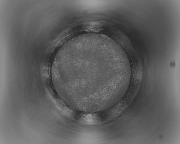 X0000111580755200908271036