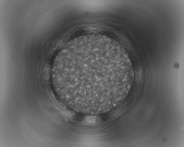 X0000111580757200908271036