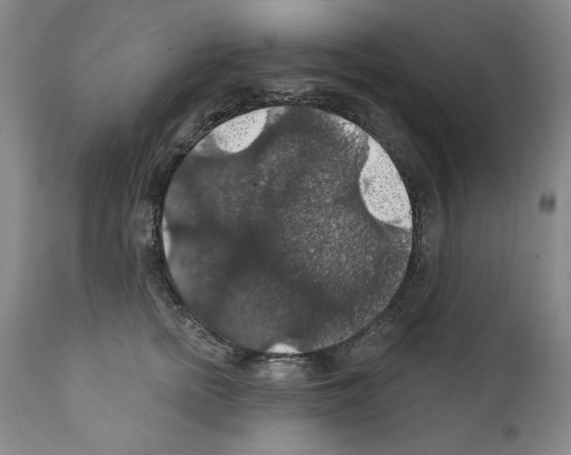 X0000111580758200908271036