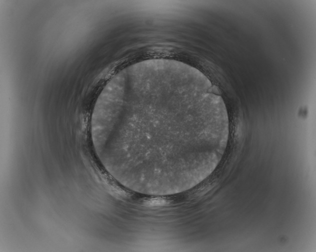 X0000111580759200908271036