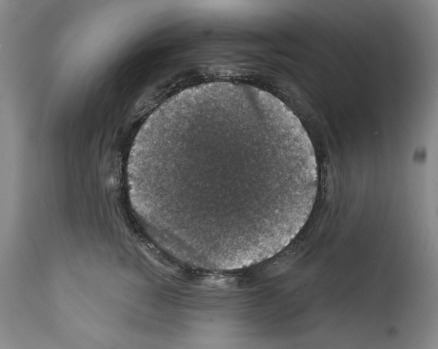 X0000111580760200908271036