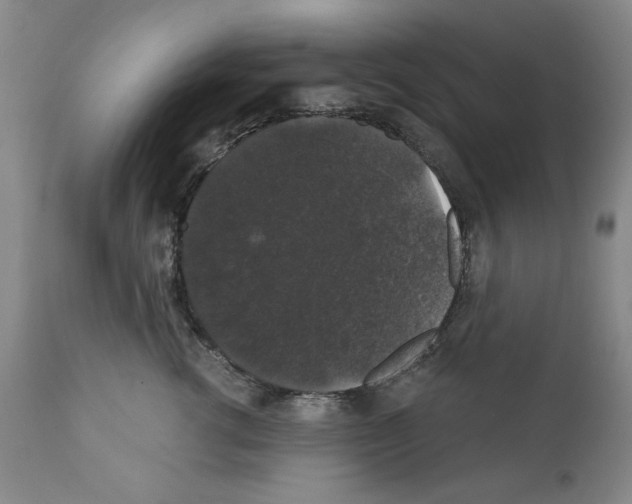 X0000111580762200908271036