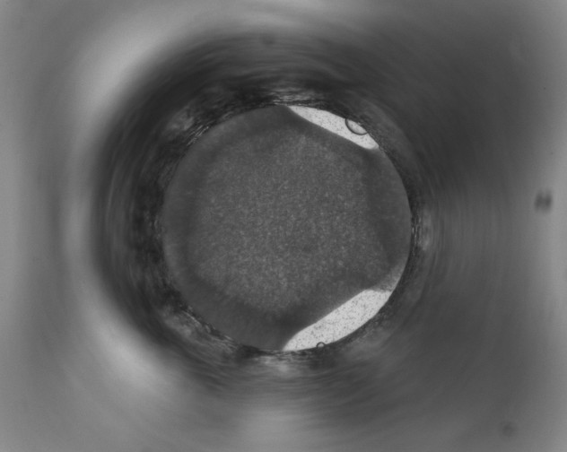 X0000111580763200908271036