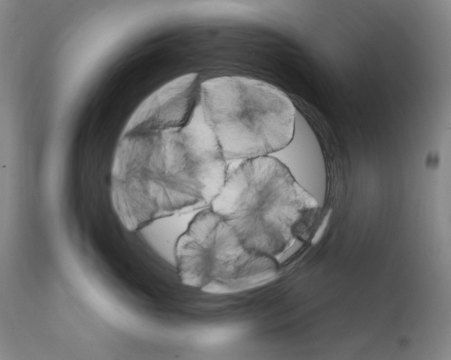 X0000111580765200908271036