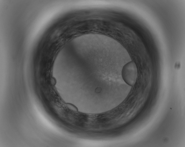 X0000111580766200908271036