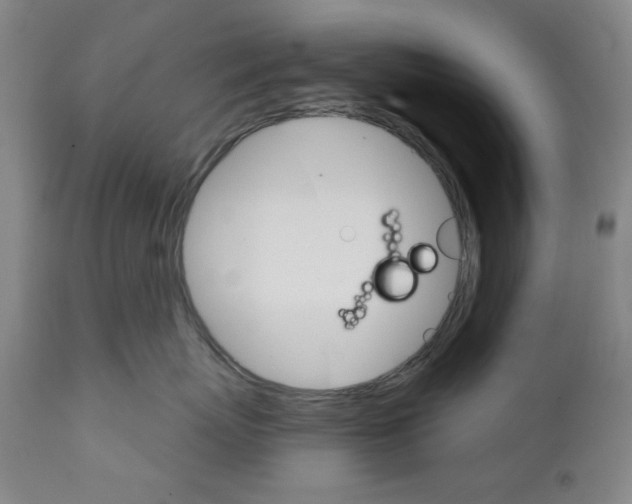 X0000111580767200908271036