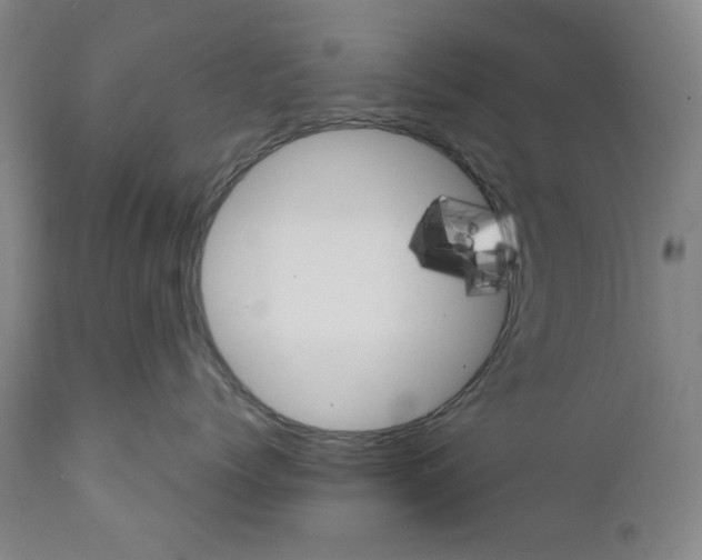 X0000111580768200908271036