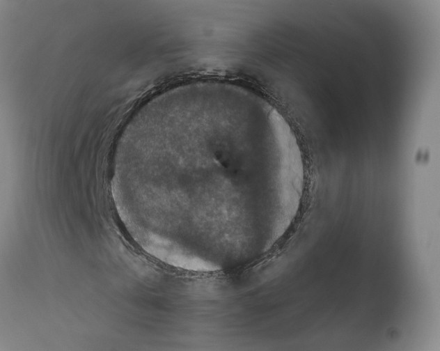 X0000111580769200908271035