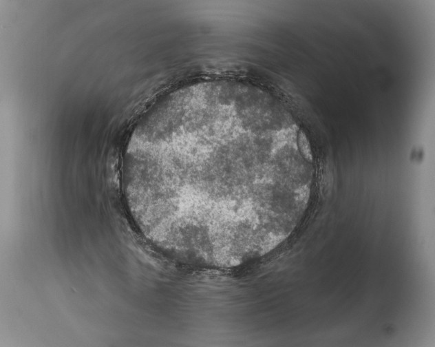 X0000111580770200908271035