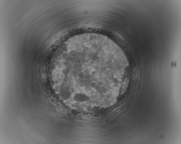 X0000111580774200908271035