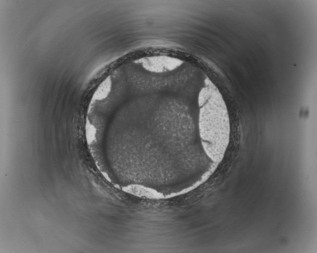 X0000111580775200908271035