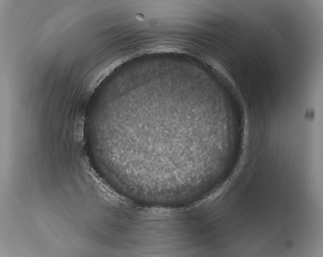 X0000111580777200908271035