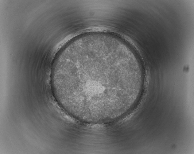 X0000111580778200908271035