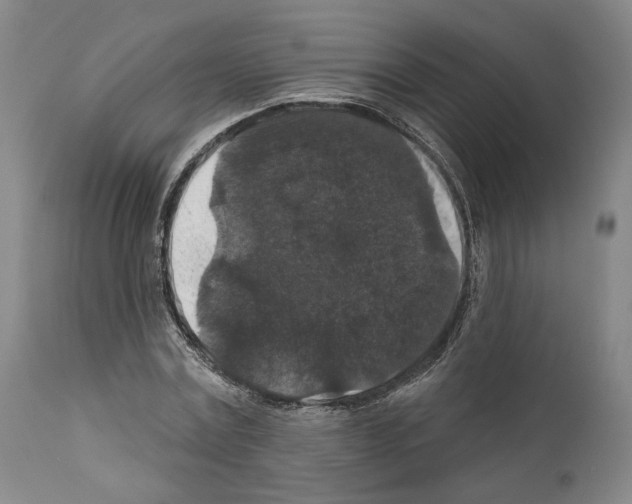 X0000111580779200908271035