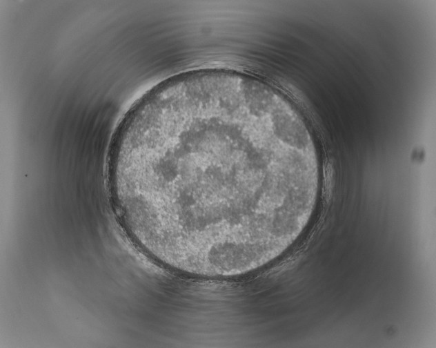 X0000111580780200908271035