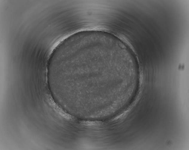 X0000111580781200908271035