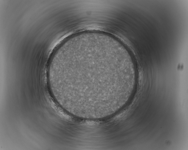 X0000111580782200908271035