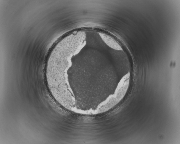 X0000111580783200908271035