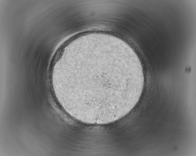 X0000111580784200908271035