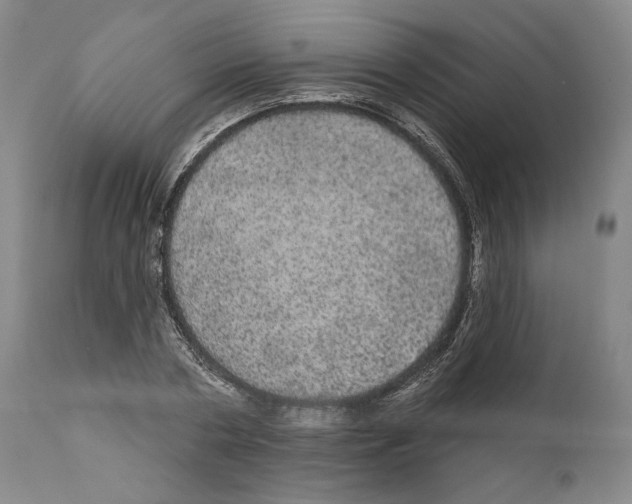 X0000111580786200908271035