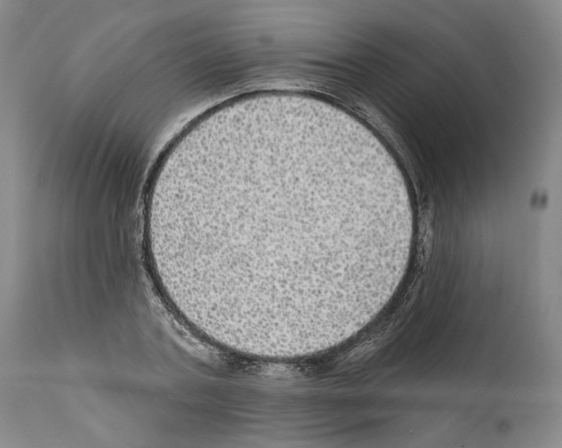 X0000111580787200908271035