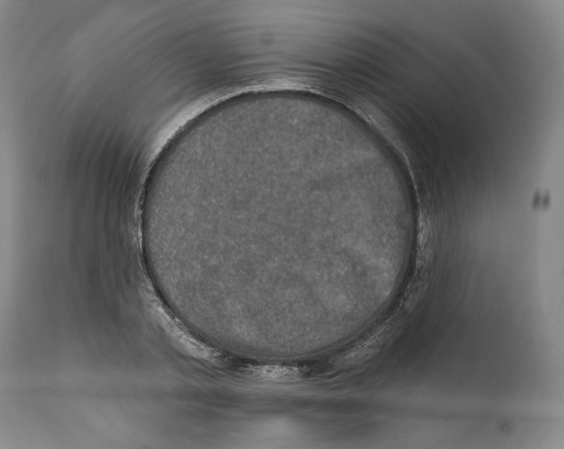 X0000111580789200908271035