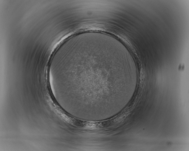 X0000111580790200908271035