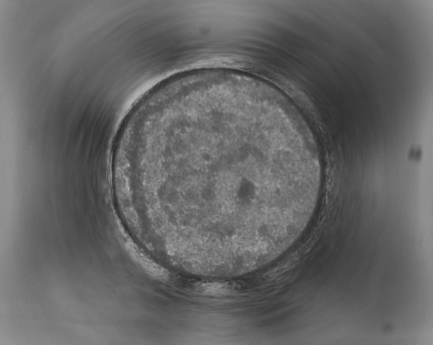 X0000111580792200908271035