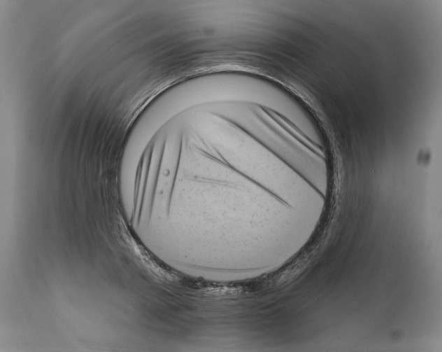 X0000111580793200908271035