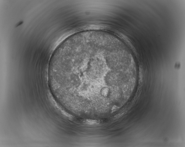 X0000111580794200908271035